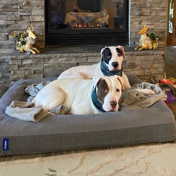 Meet your Posher, Laura 🐝 - Picture 6 of 13